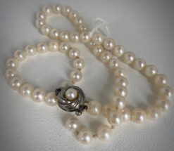 Pärlhalsband benvitt äldre knäppe